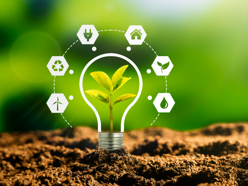 Inovação aplicada à sustentabilidade: entenda como as empresas estão inovando em práticas sustentáveis